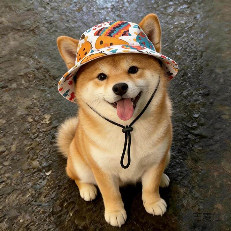 柴犬专用帽子露耳朵宠物狗狗夏季薄款遮阳帽外出防晒渔夫帽子拍照