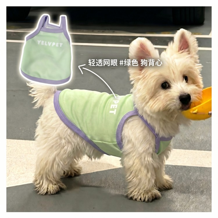 宠物小狗狗衣服小型犬比熊背心夏季薄款防掉毛猫咪吊带2026新款