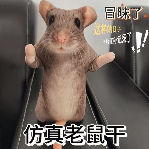 铁丝家庭鼠鼠彷真玩偶老鼠干内置萌系骨架四肢可动随意凹造型