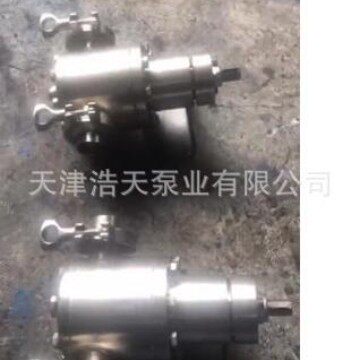 高粘度齿轮泵TDGNB蜂蜜糖浆不锈钢泵内啮合齿轮泵