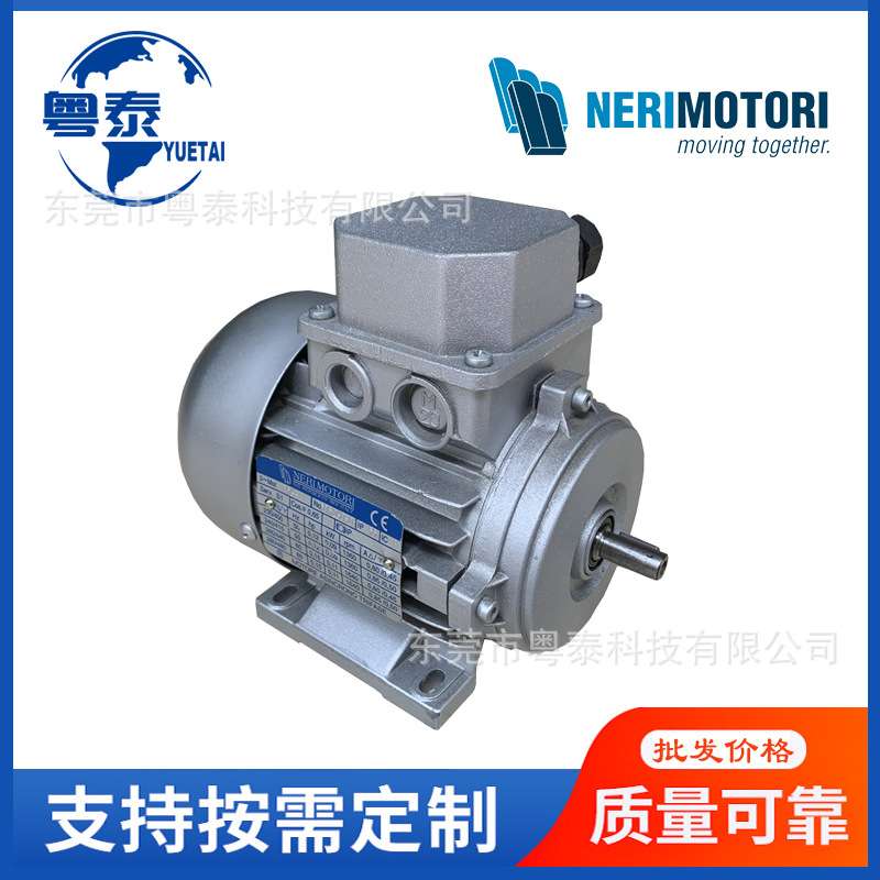 NERI电机0.09 0.18 0.37 0.75 1.5 2.2 3 4 5.5 7.5KW NERIMOTORI