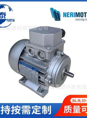 NERI电机0.09 0.18 0.37 0.75 1.5 2.2 3 4 5.5 7.5KW NERIMOTORI