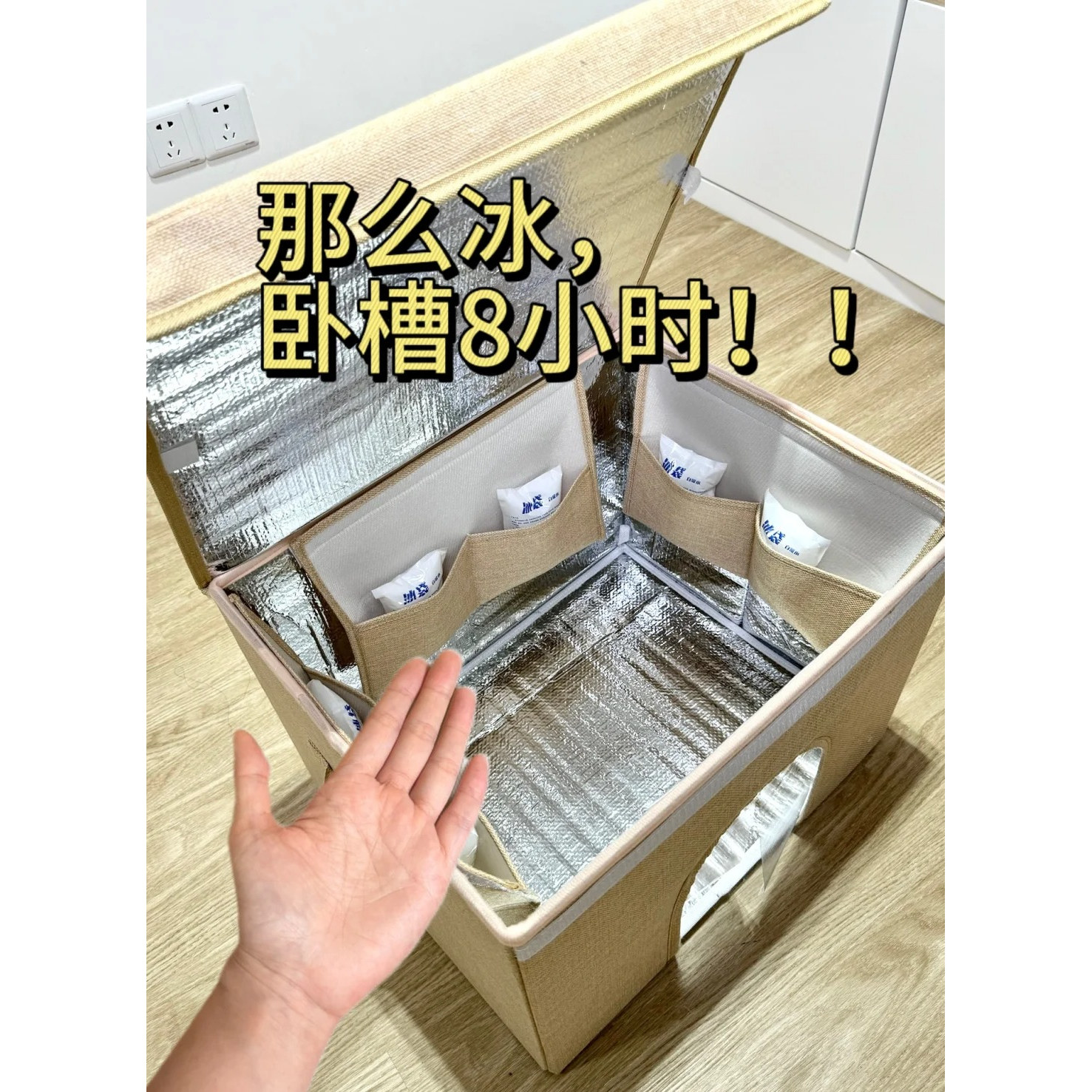 我的猫咪再也不怕夏天炎热了