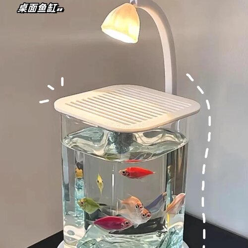 桌面小鱼缸玻璃带灯造景餐桌客厅