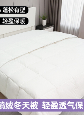 香港Bursa 蓓莎白鹅絨冬天羽絨被85%保暖