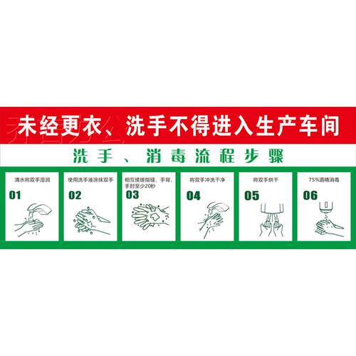车间洗手消毒流程步骤图