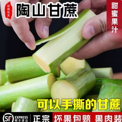 正宗陶山甘蔗浙江温州青皮果蔗新鲜现砍绿皮水果甘蔗5斤顺丰礼盒