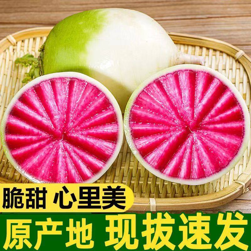 新鲜心里美萝卜心灵美绿皮红心水果泡菜萝卜红心萝卜绿皮红心,水产肉类/新鲜蔬果/熟食,萝卜/胡萝卜,淘宝优惠券,粉丝福利购,淘宝优惠卷