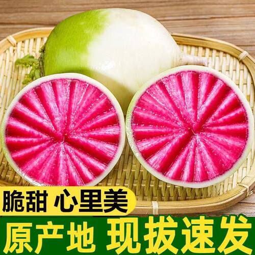萝卜红心绿皮白心脆甜多汁