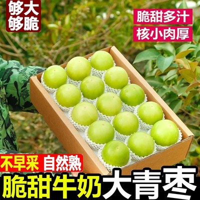 云南正宗新鲜苹果枣新鲜牛奶大青枣当季多汁甜脆孕妇水果5斤包邮