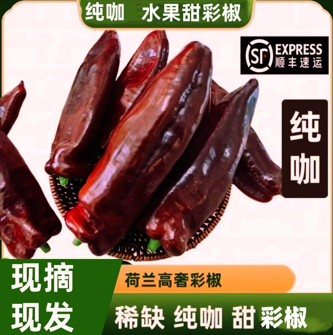 顺丰巧克力水果长彩椒当季新鲜咖啡色生吃脆甜不辣纯咖黑紫色甜椒