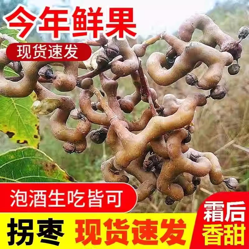 2025年云南当季新鲜拐枣万寿果甜