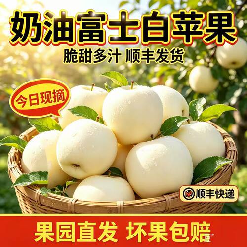 山东奶油富士苹果牛白黄金