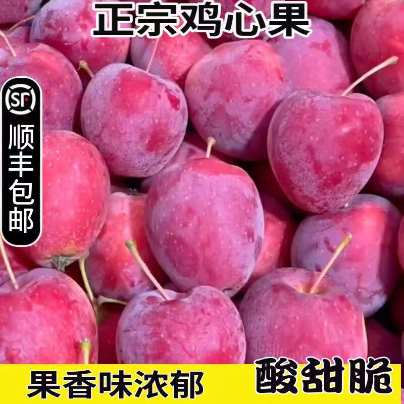 正宗东北鸡心果净重5斤新
