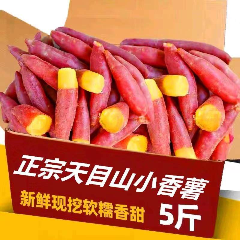 临安天目山小香薯拇指小红薯新鲜地瓜板栗山芋番薯5斤迷你粉糯
