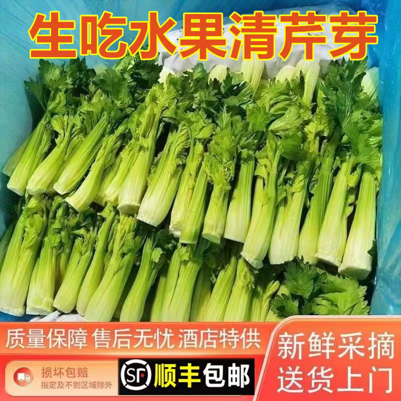【立农维康】清芹芯水果清芹芽新鲜云南高原绿色蔬菜现摘时令蔬菜