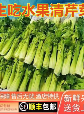 【立农维康】清芹芯水果清芹芽新鲜云南高原绿色蔬菜现摘时令蔬菜
