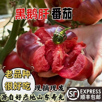 顺丰山东寿光黑鹅肝番茄新鲜牛排大柿子自然熟老品种沙瓤西红柿