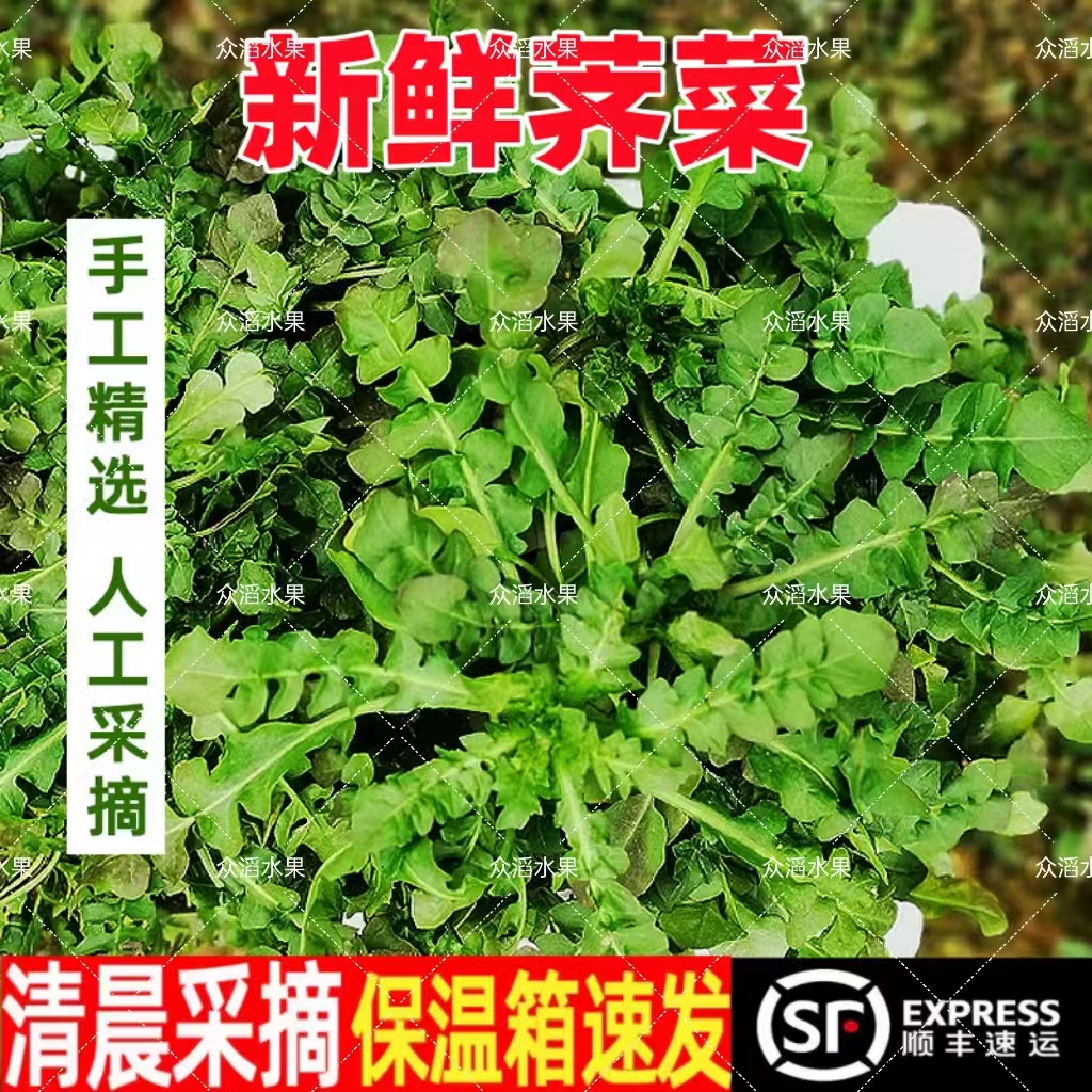 新鲜荠菜农家现挖农家现挖*