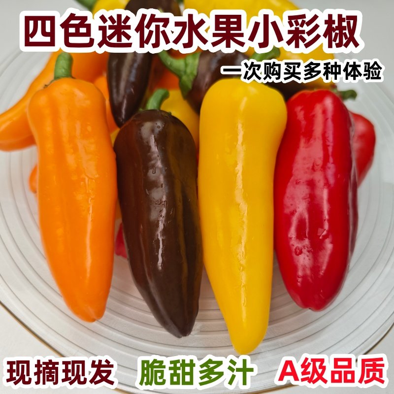 山东迷你水果彩椒当季新鲜五彩生吃不辣小辣椒黑紫色咖色小甜椒,水产肉类/新鲜蔬果/熟食,辣椒,淘宝优惠券,粉丝福利购,淘宝优惠卷
