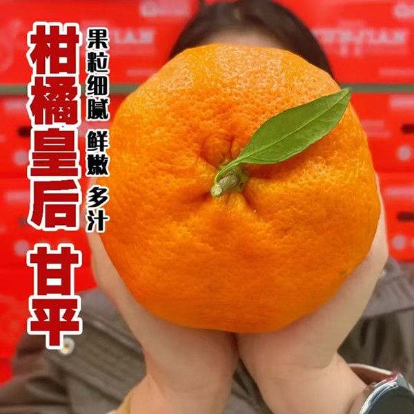 正宗甘平柑橘皇后礼盒当季新鲜水果蜜橘子纯甜小金桔子非粑粑柑,水产肉类/新鲜蔬果/熟食,桔子,淘宝优惠券,粉丝福利购,淘宝优惠卷