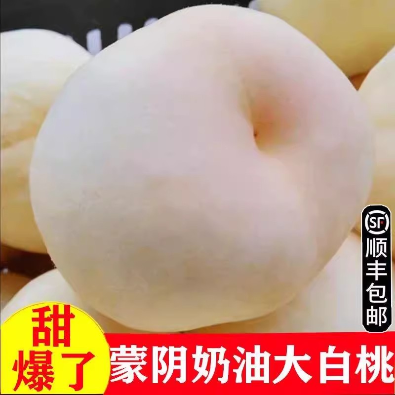 顺丰现摘蒙阴大白桃新鲜硬脆白玉蜜桃当季孕妇水果脆甜毛桃水蜜桃