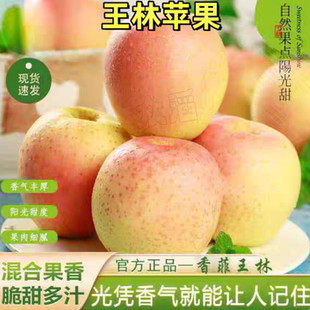 正宗王林苹果雀斑美人新鲜水果当季 脆甜青森水蜜桃青丑苹果