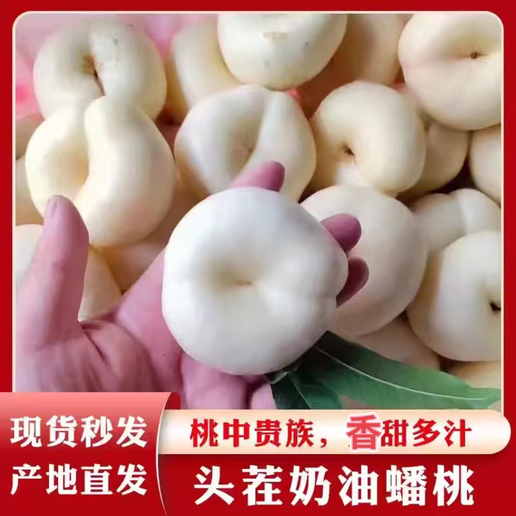 顺丰现摘蒙阴奶油蟠桃当季新鲜水果山东白桃子脆甜扁油桃孕妇蜜桃