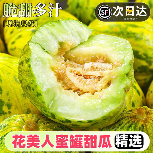 顺丰花美人蜜罐甜瓜白糖罐甜现摘