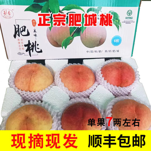 肥城水蜜桃佛桃当季水果正宗新鲜