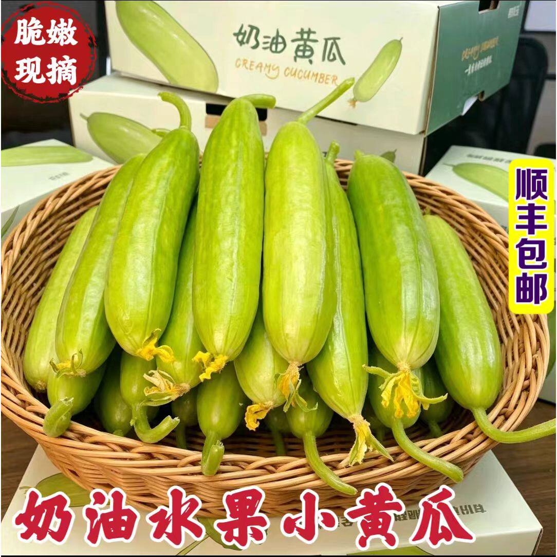 顺丰山东潍坊无刺奶油小黄瓜新鲜现摘生吃清脆水果白玉青瓜蔬菜