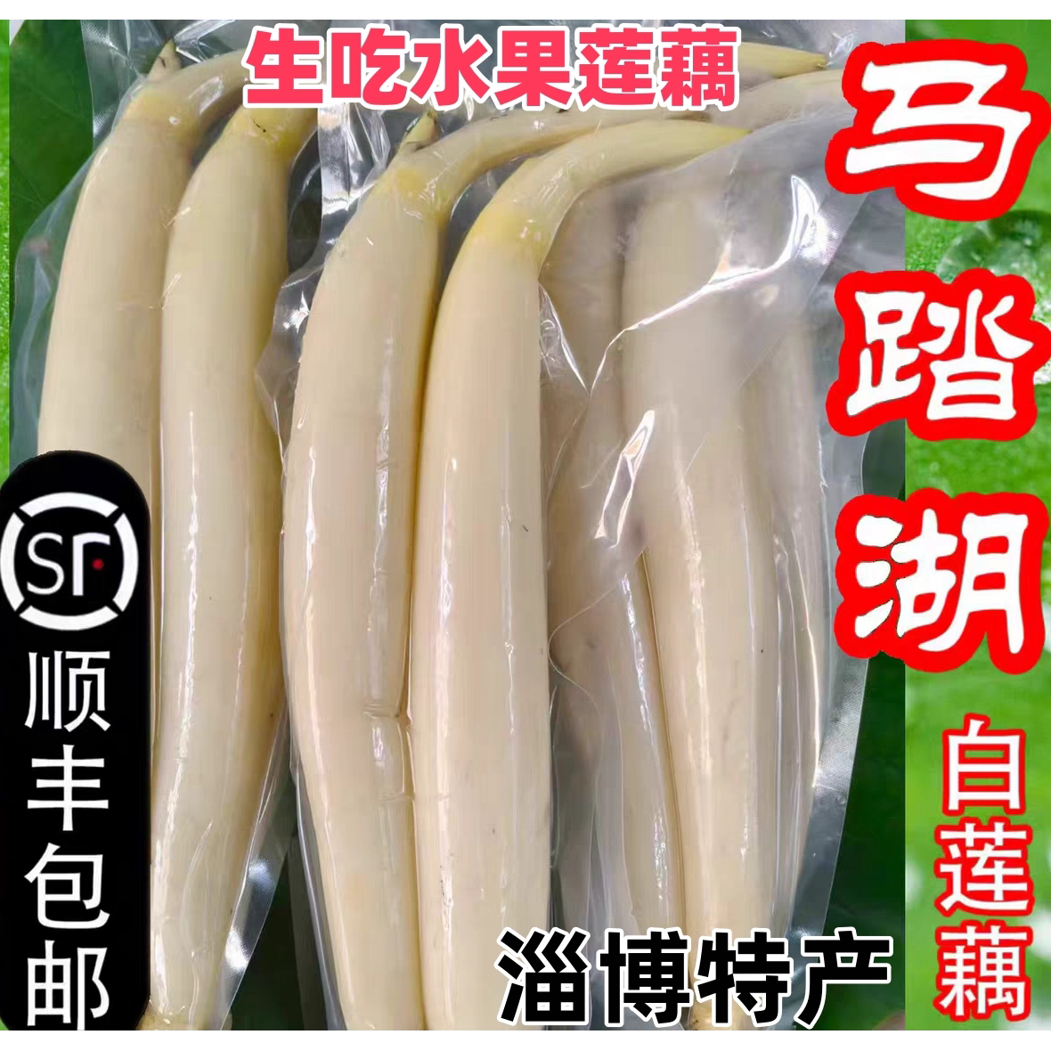 淄博特产马踏湖白莲藕水果藕生吃脆藕嫩藕凉拌藕鲜藕酒店特色食材