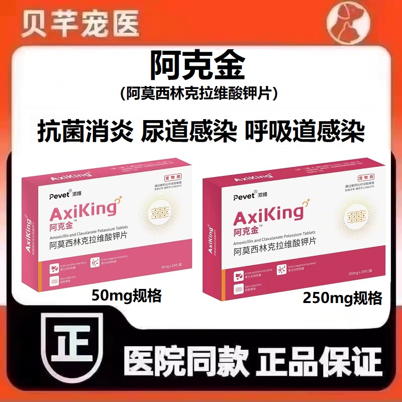派维阿克金阿莫西林克拉维酸钾片狗消炎药猫咪感冒宠物咳嗽猫鼻支