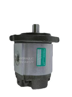 罗茨液压泵RONZIO k齿轮泵05ZAG 01ZAG 02ZAG 02ZCG 03ZAG35 油泵