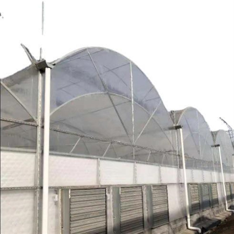 连栋双拱大棚 连栋棚 s智能温室大棚 花卉蔬菜种植棚 养殖大棚