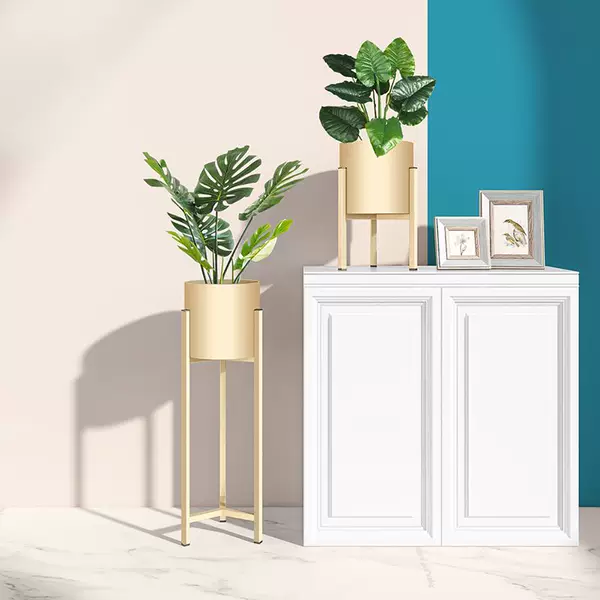 Товары от 河风雅叙臻选