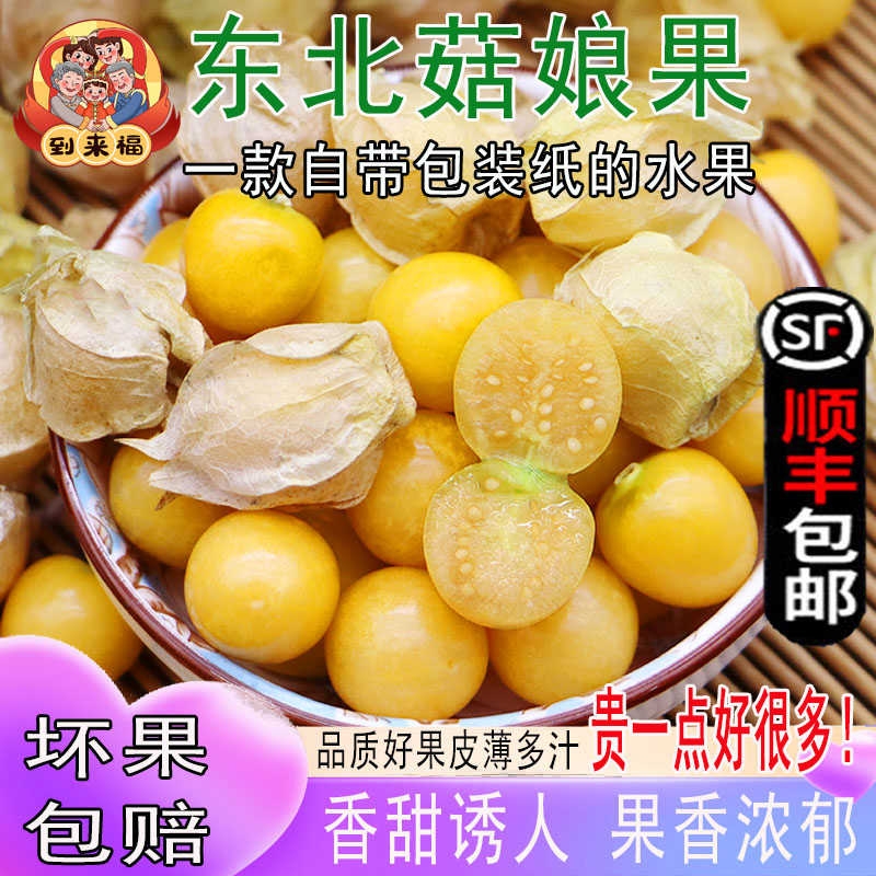 到来福新鲜水果山地种植