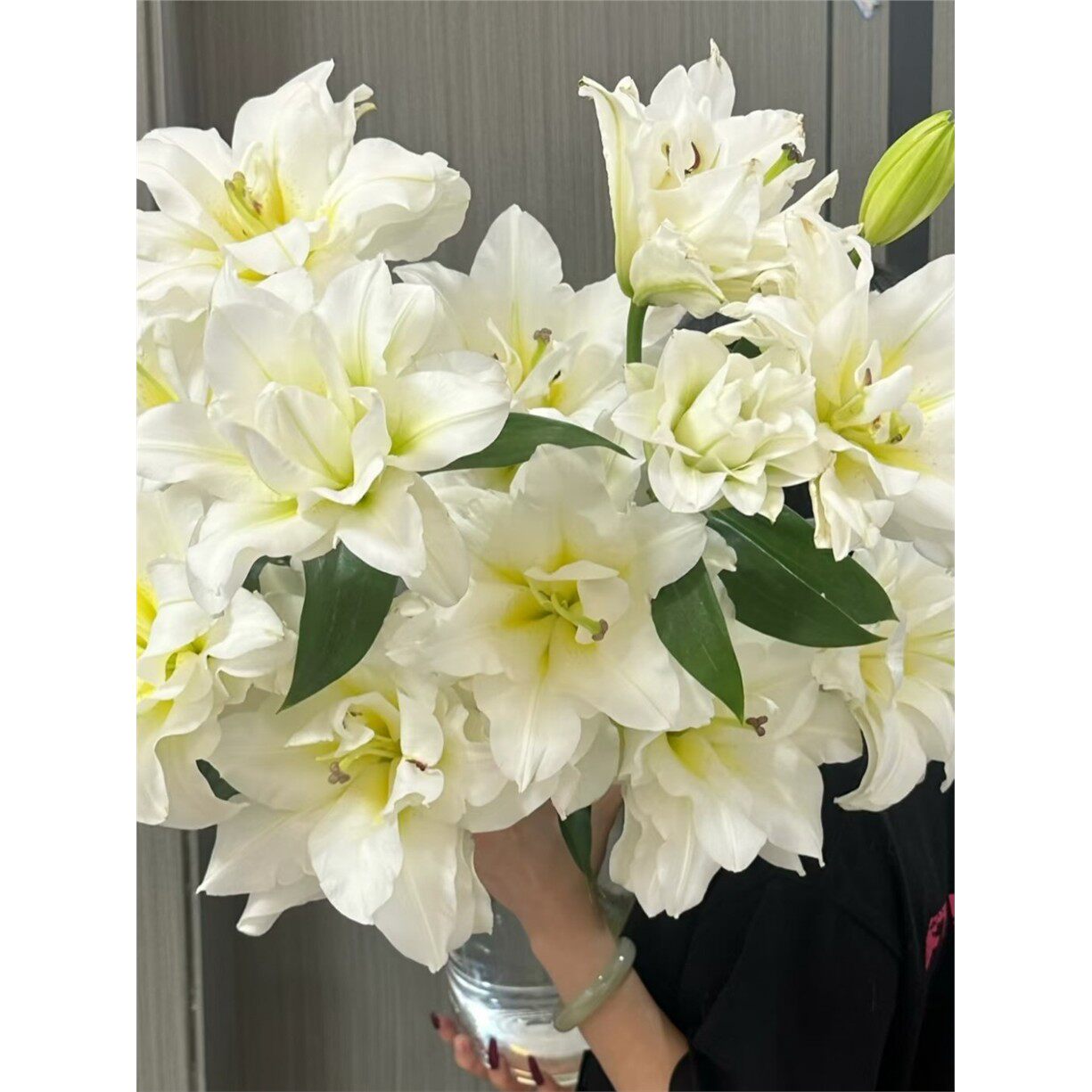 2个包邮 进口百合种球-庭院OT东方月亮绿园花开耐寒多年生易繁殖