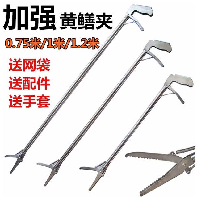黄鳝夹子加长鳝鱼钳子防脱工具神器钩钳不锈钢黄善夹泥鳅防滑折叠