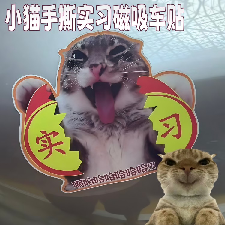 小猫手撕实习车贴新手膨胀期猫咪磁吸贴饰趣味搞怪反光装饰警示贴