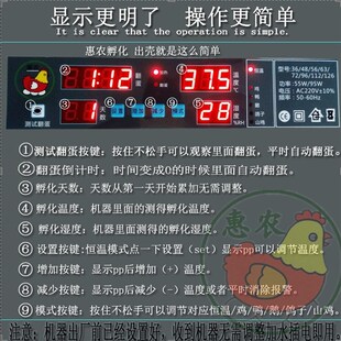 热销高端鸡苗孵化器保温箱卵w化的鸡耐用孵化机电浮可抱化鸡鸭鹅