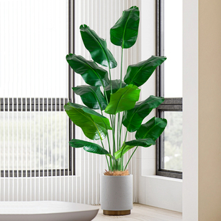 仿真花假花摆设仿真绿植假树天堂鸟室内客厅盆栽V直播间装饰摆件