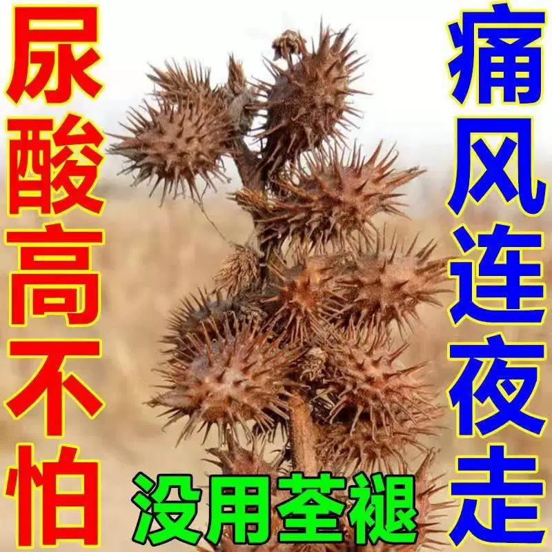 希尔安麝香海马追风膏关节痛丸芹菜籽...