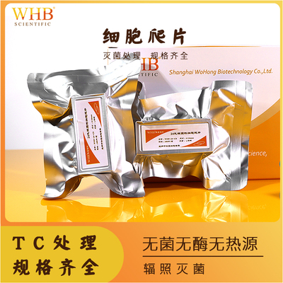 无菌爬片TC处理多聚赖氨酸包被