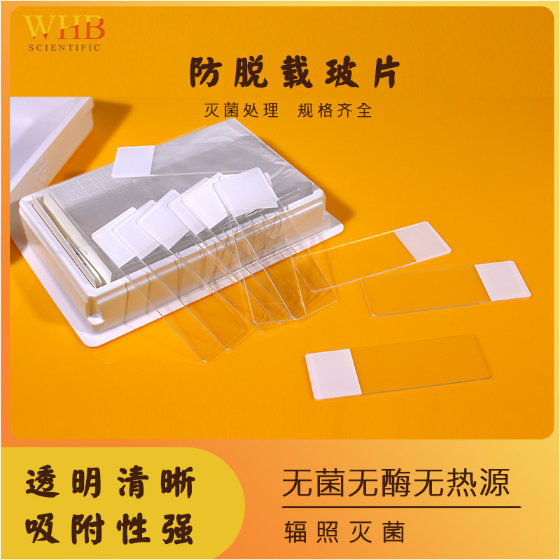 TC贴壁处理 粘附性强 促进细胞生长