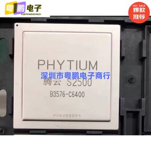 B3576 6400 E2000 PHYTIUM飞腾 原装 S2500 S5000 BGA芯片 腾云
