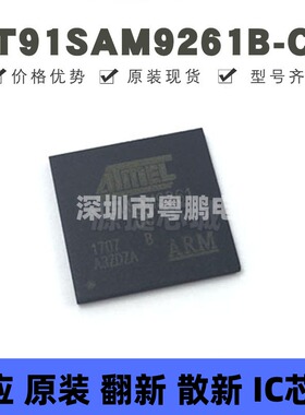 AT91SAM9261B-CU 封装BGA-217 微控制器 MCU单片机 提供BOM配单