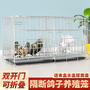 鴿籠用具 鴿子籠家用大全養殖籠配對籠繁殖籠小號大號特大室外新款