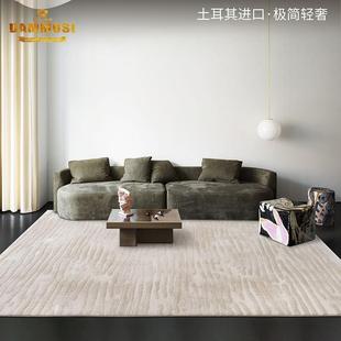 DAMMOSI客厅地毯土耳其进口极简轻奢别墅高端现代简约卧室茶几毯