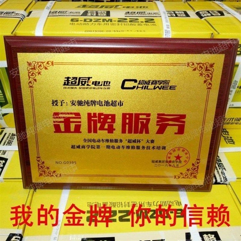 电车电瓶三轮车60v蓄电池动48v12v36ah水大容量P24伏32专用72v锂